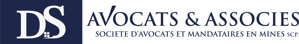Logo DS AVOCATS ET ASSOCIES